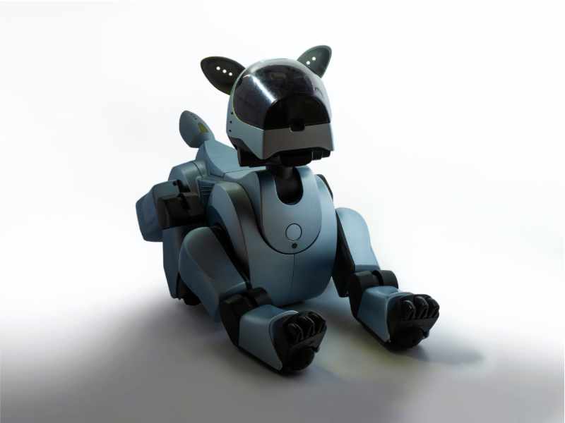 Alles over robotdieren