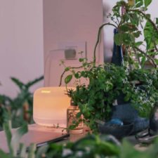 De slimme strijd tegen pollen en hooikoorts