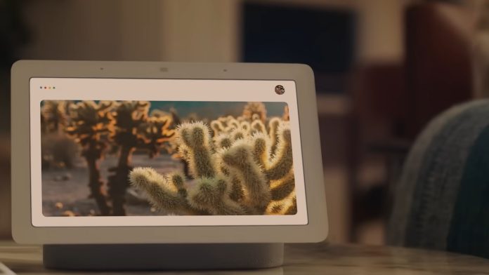 Een witte Google Nest Hub toont een sfeervolle foto van cactussen in warm, goudkleurig zonlicht, ter illustratie van 5 geniale lente routines voor Apple Home & Google Home.