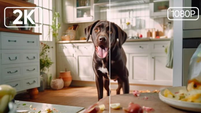Huisdier alleen thuis? De 3 beste binnencamera's tonen het verschil tussen scherpe 2K- en 1080p-resolutie met een afbeelding van een bruine hond in een lichte keuken.