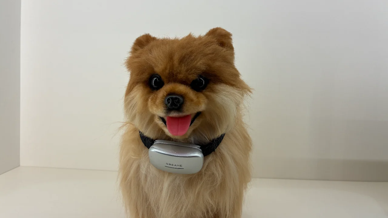 Een schattig accessoire, een minder schattige neppe hond